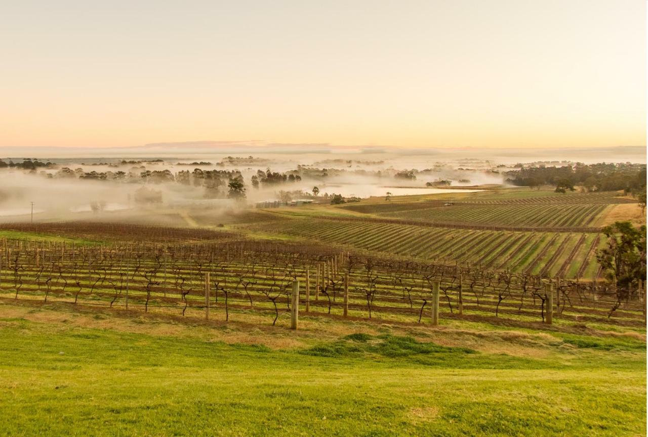 Гостьовий будинок Audrey Wilkinson Vineyard Поколбін Екстер'єр фото